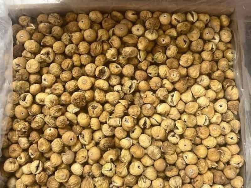 تصویر 1 از انجیر خشک شیرازی شیرین و گوشتی با کیفیت ممتاز